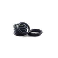 Garnitura Oring Di 8 D mm 2A Buc 100 (672082)