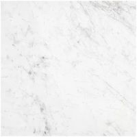 Placaj Marmura Volakas Alb Lustruit 60x30x2 cm