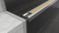 Profil Aluminiu Treapta S 38 Cu Banda Argint 0.93ml